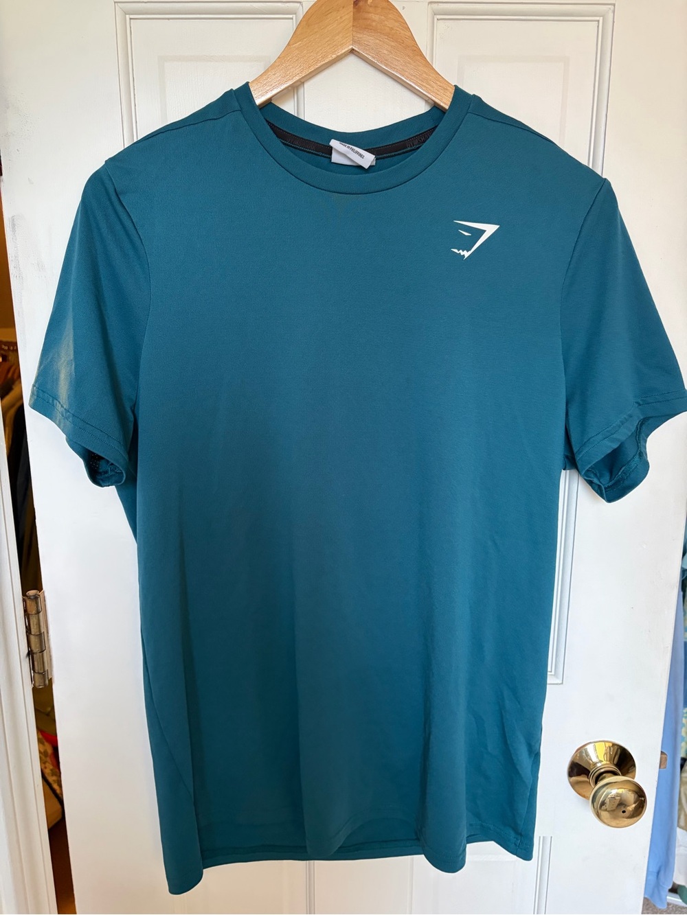 Gymshark Teal Short Sleeve Performance Tee